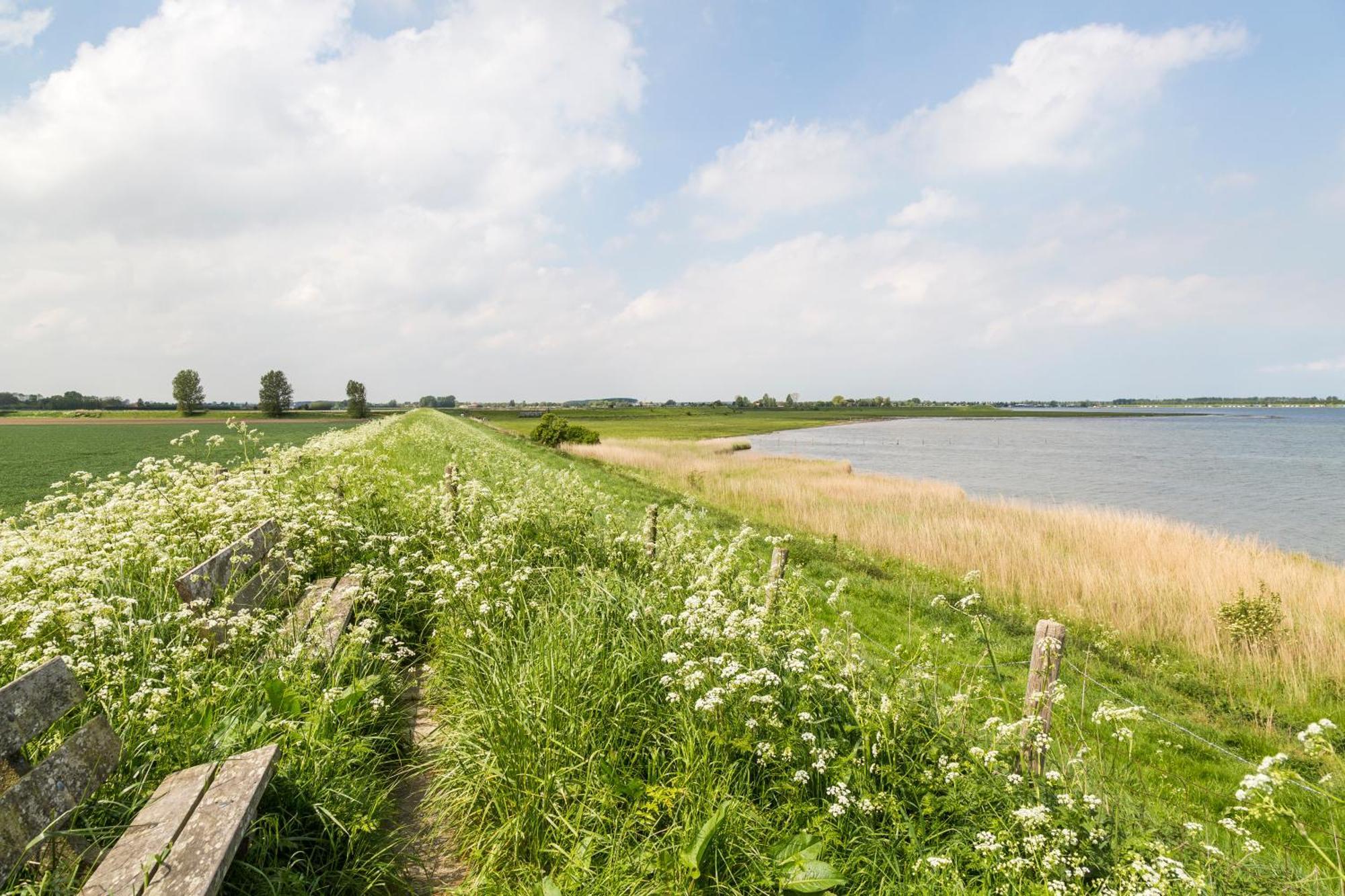 Veerse Meer Lodge Wolphaartsdijk Exterior foto